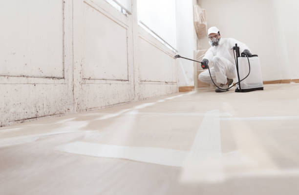 24/7 Emergency Mold Cleanup experts in Silver Spring, MD