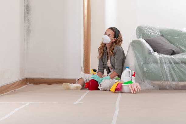 Reliable Mold Cleanup contractor in Silver Spring, MD by Cheap Mold Removal